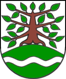 Datei:Wappen Rieseberg.png
