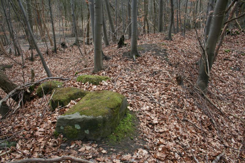 Datei:Bad Helmstedt Reste einer Burganlage.jpg