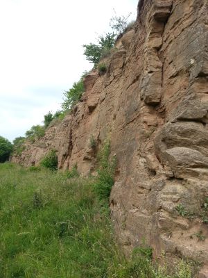 Heeseberg SteinBr 2014-06-01 11.46.04.jpg