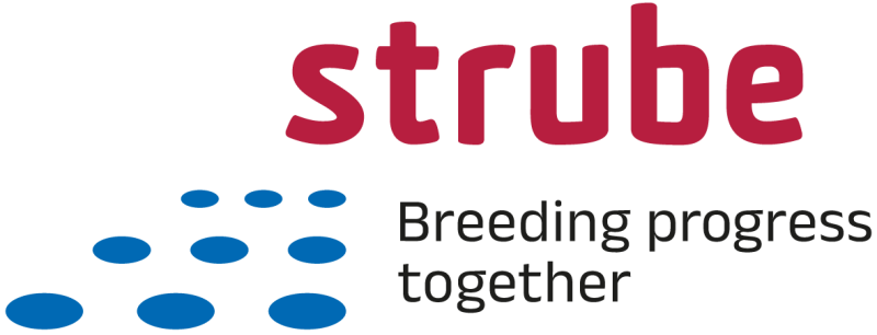 Datei:Strube D&S.png